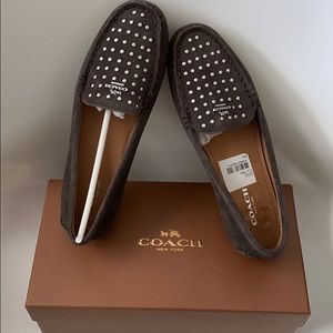 NWT COACH Orlene Calf Suede Loafers